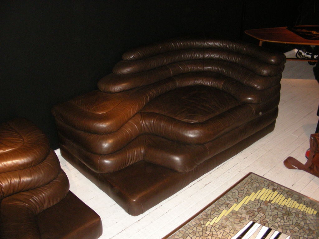 Pair of terrazza armchair by  Ubald Klug? DESEDE