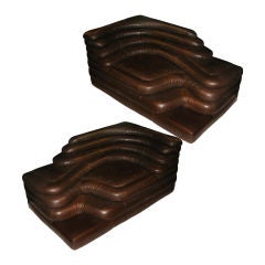 Pair of terrazza armchair by Ubald Klug? DESEDE