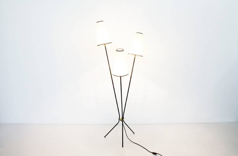 Mid-20th Century French 1950 Three Shades Floor Lamp