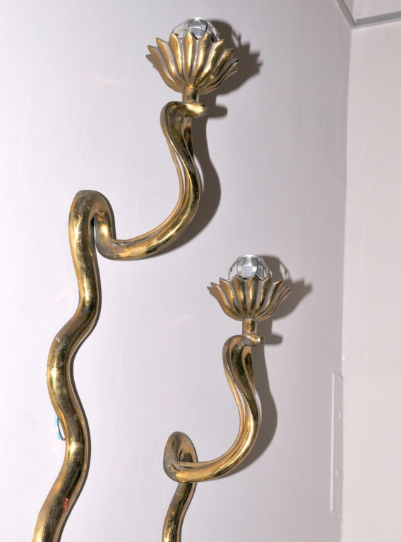 Pair of cobra Wall Sconce 1