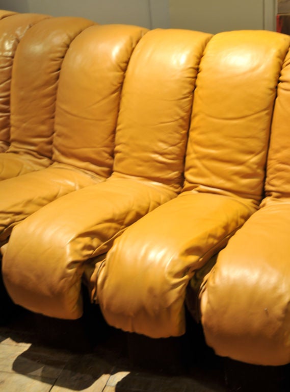 Leather A 20 Sections Desede Ds-600 Non-stop Sofa