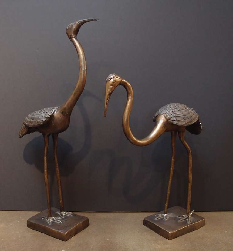 An elegant pair of Chinese bronze models of standing cranes. Both with long, undulating necks and elongated legs. One portrayed looking up and ahead, the other looking down. 
Cranes have long been a symbol of longevity in Chinese culture. 
The