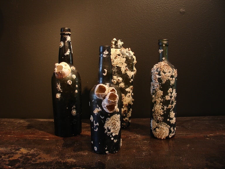 A Group of Marine Encrusted Dutch Spirit Bottles