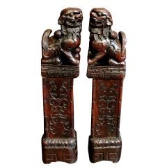 A Pair of Carved Rosewood Foo Lions