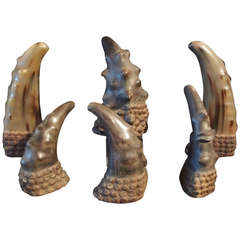 Vintage A Collection of Asian Oxen Horn Specimens