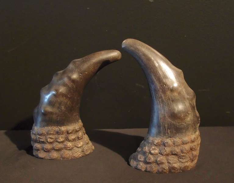 Late 20th Century A Collection of Asian Oxen Horn Specimens