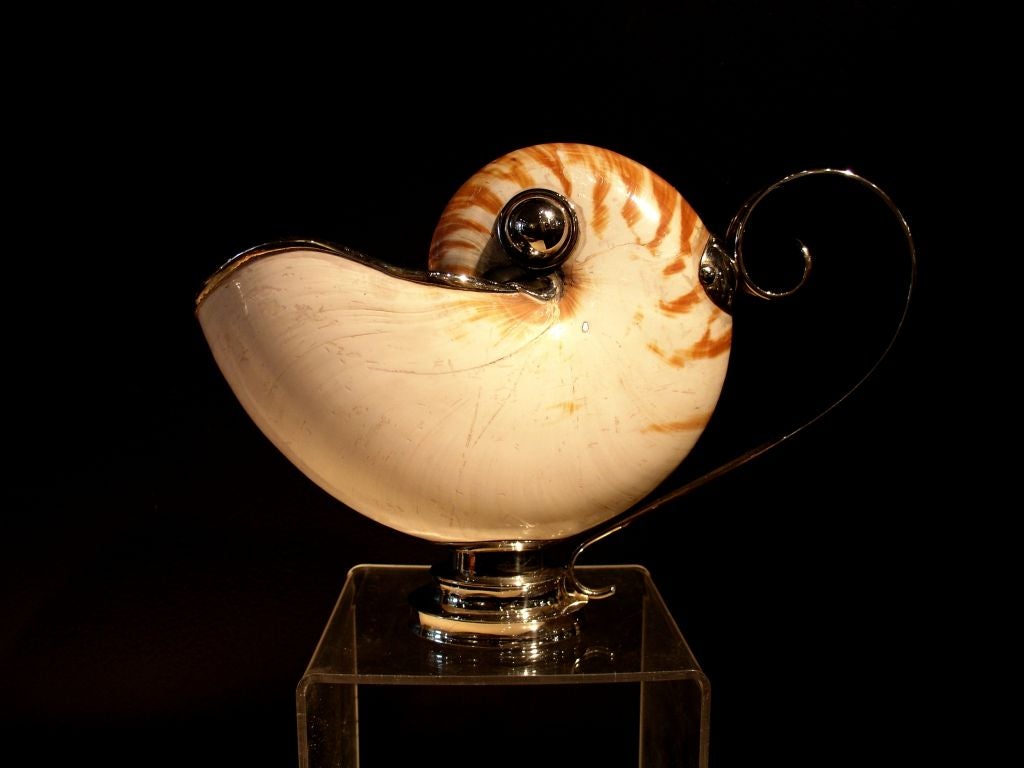 Update: Only the natural shell piece is available

Two elegant and graceful gravy boats crafted from natural nautilus shells. One retains the original shell coating with its distinctive brown stripe pattern. The other has been pearlized, revealing