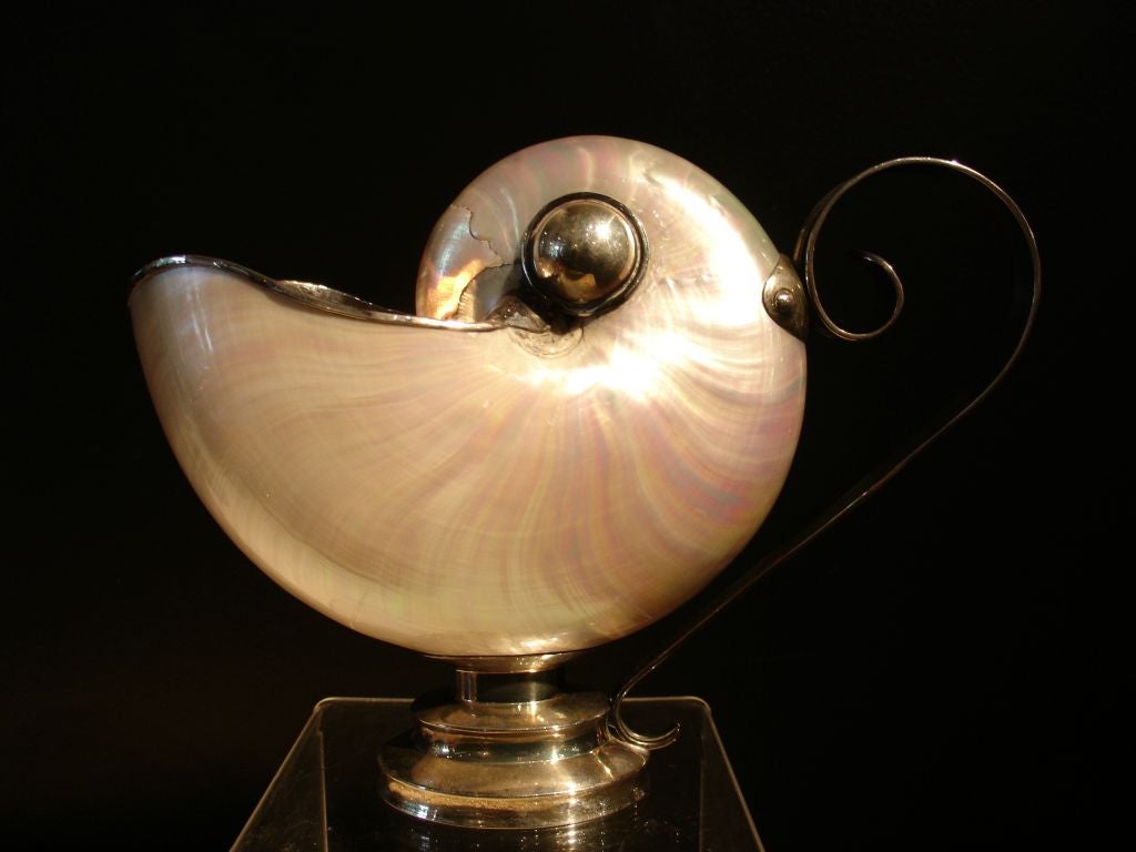Unknown Nautilus Shell Gravy Boats Mounted in Sterling Silver