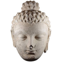 Large Gandharan Stucco Head of Buddha