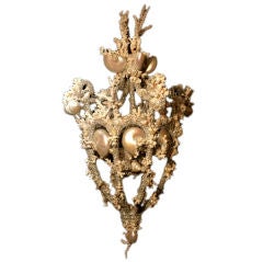 Shell and Coral Encrusted Chandelier