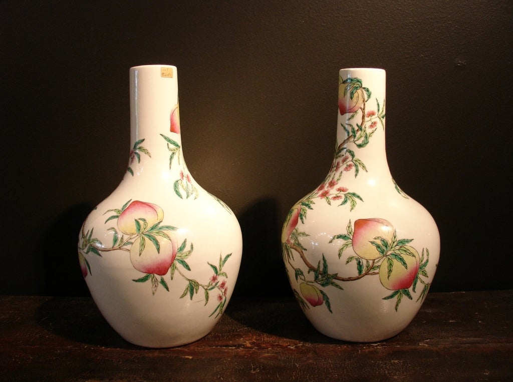 Pareja de jarrones de botella 