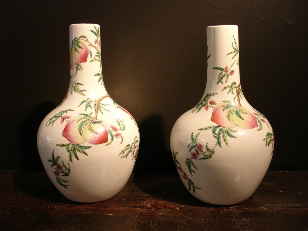 Pareja de jarrones de botella 