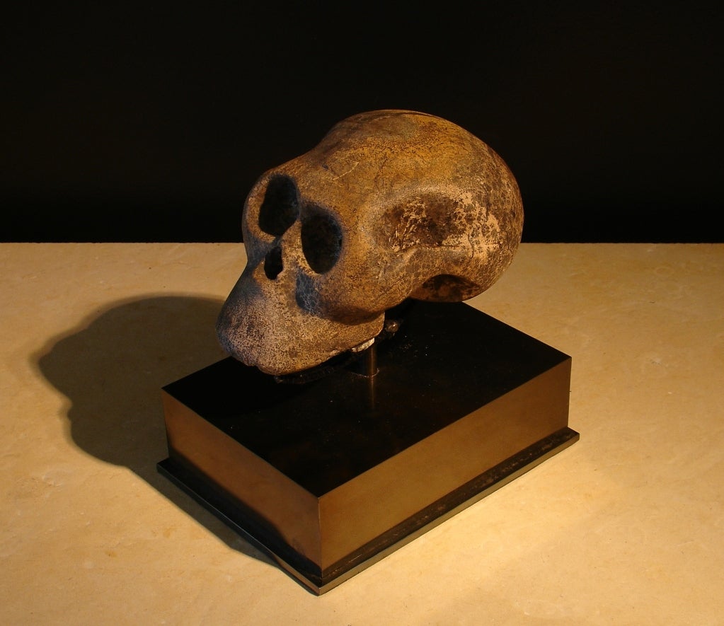 A Carved Stone Skull