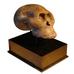 A Carved Stone Skull