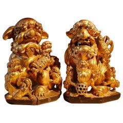 Antique A Pair of Chinese Gilt Wood Foo Dogs