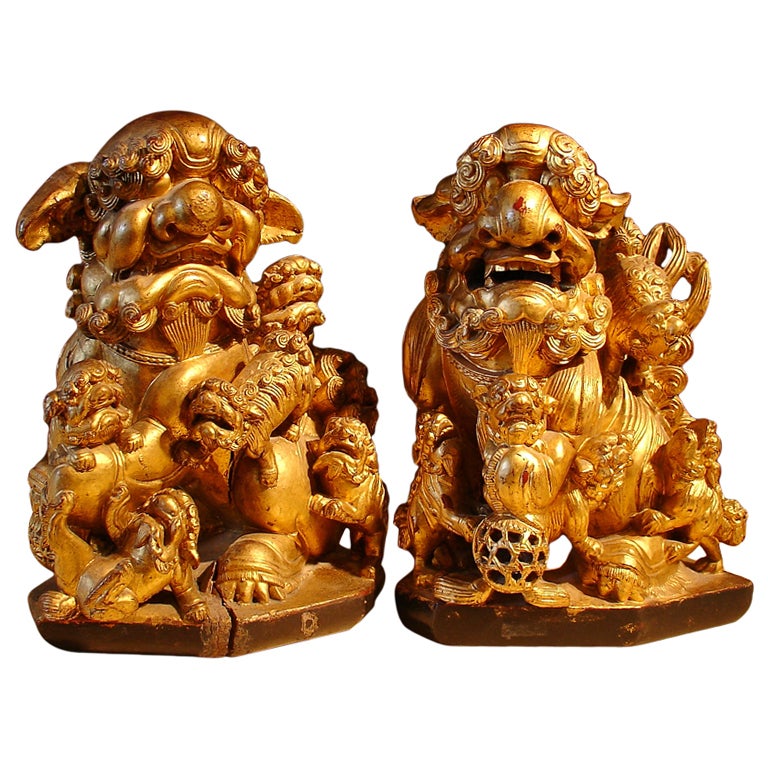 A Pair of Chinese Gilt Wood Foo Dogs at 1stDibs