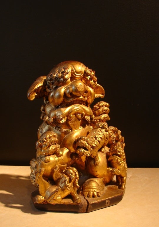 Carved A Pair of Chinese Gilt Wood Foo Dogs
