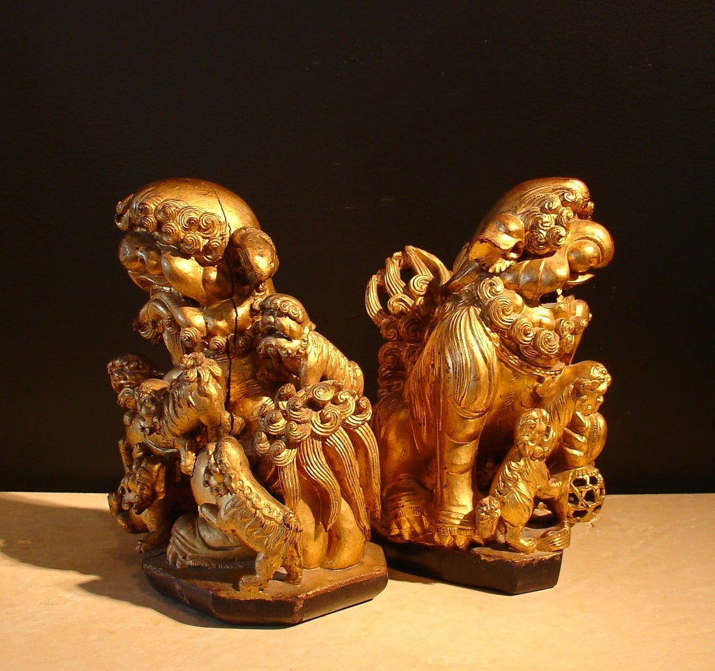 A Pair of Chinese Gilt Wood Foo Dogs In Good Condition In Austin, TX