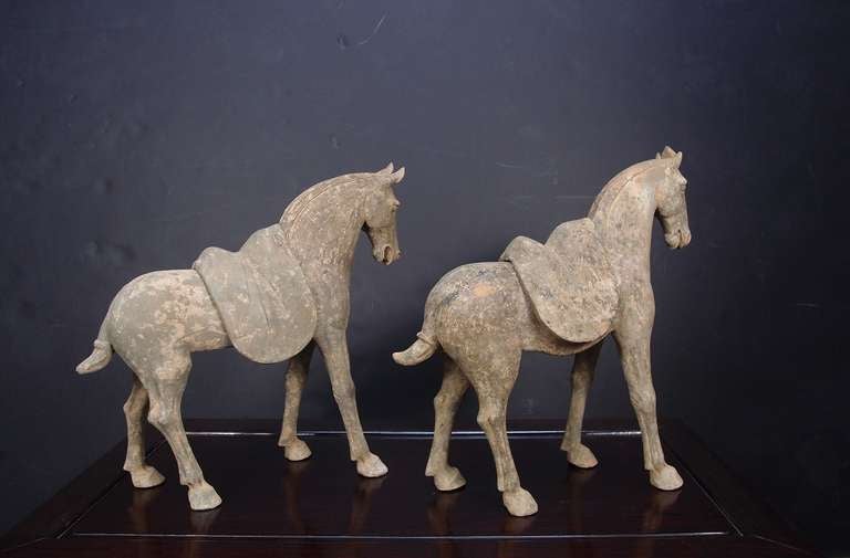 18th Century and Earlier Pair of Tang Dynasty Grey Pottery Striding Horses with Removable Saddles