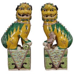 A Pair of Famille Jaune et Verte Foo Lions