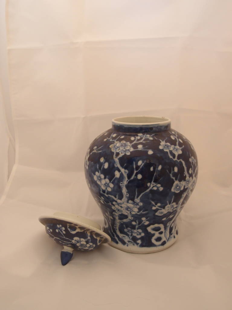 Chinese Export Pair of Blue Porcelain Vases