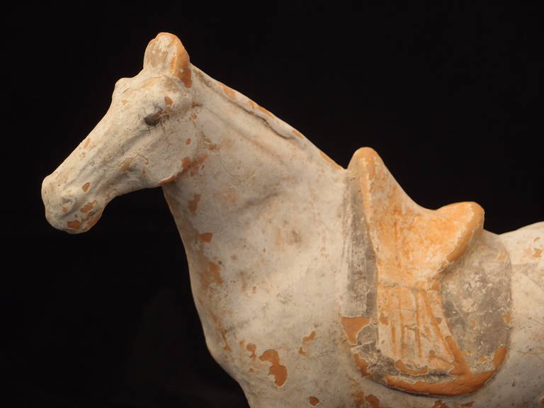 Chinese Tang Dynasty Painted Pottery Model of a Horse In Good Condition For Sale In Austin, TX