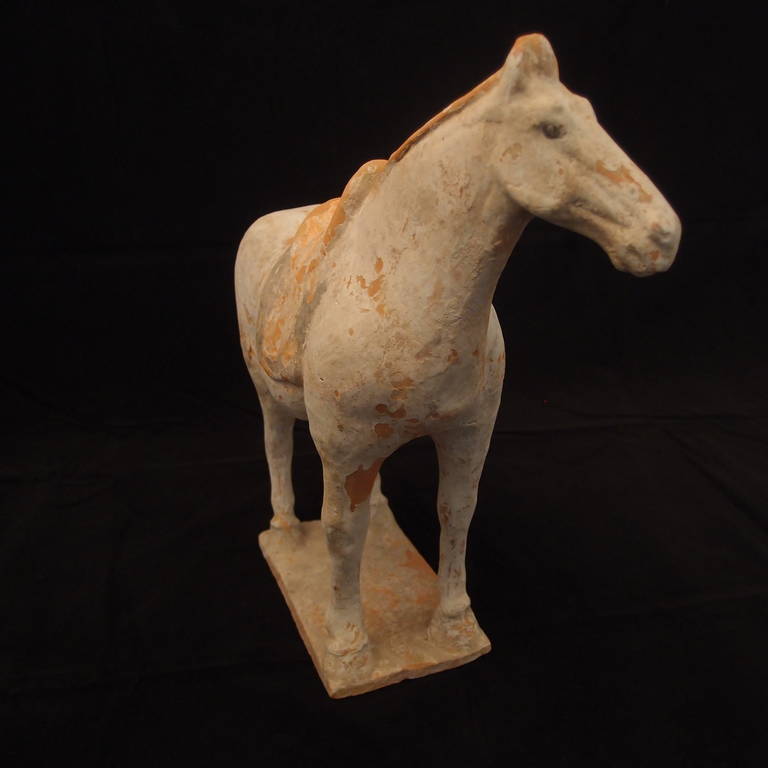 18th Century and Earlier Chinese Tang Dynasty Painted Pottery Model of a Horse