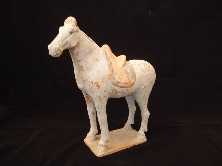 Chinese Tang Dynasty Painted Pottery Model of a Horse For Sale 1