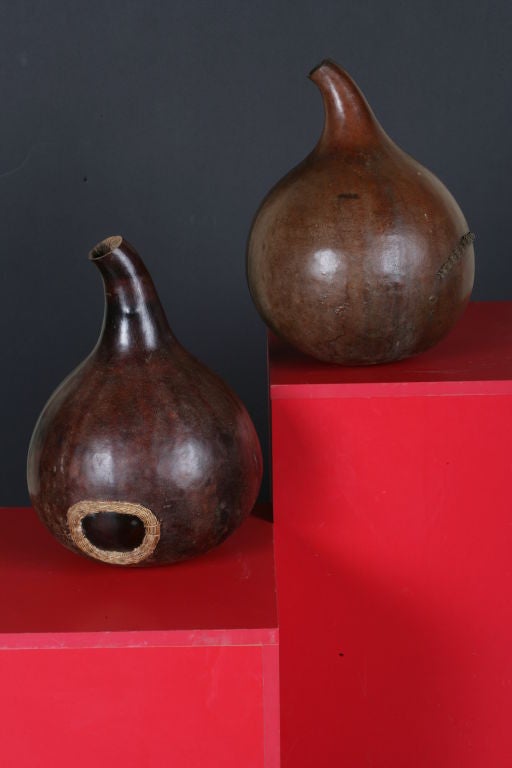 A fantastic pair of large African gourd storage vessels with native repairs, early to mid 20th century, Ethiopia or Kenya.

This pair of dried and hollowed gourd vessels would originally have been used to store liquids. The gourds have generous,