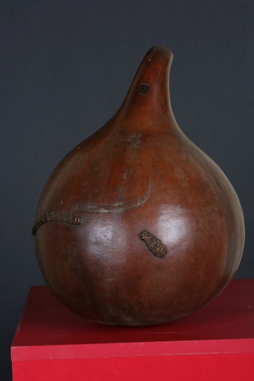 kenya gourd