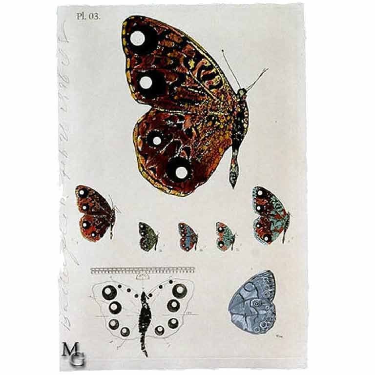 Butterfly, 1996 Print by Donald Sultan For Sale