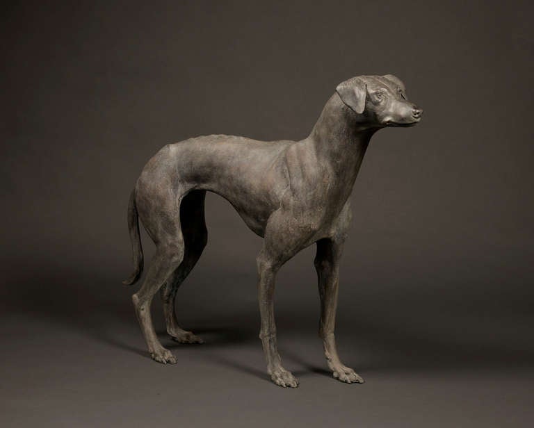 A Contemporary Bronze Sculpture Of A Standing Dog By Chinese Artist Zhang Wei.