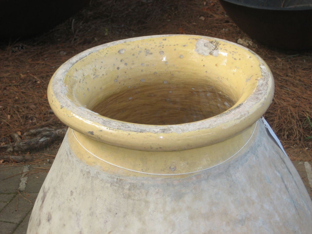 French Olive Jar