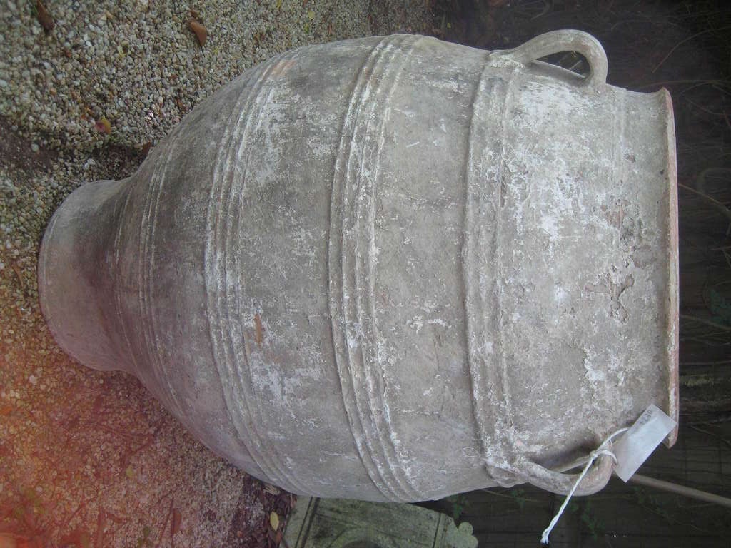 19th Century Crete Olive Jar 5