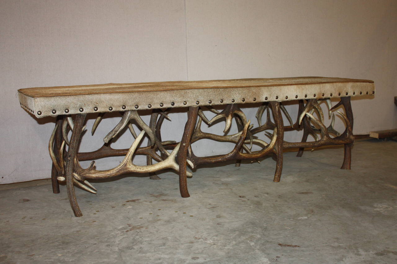 This is a fantastic looking stag horn based bench upholstered with an animal hide.  I purchased the bench in England.