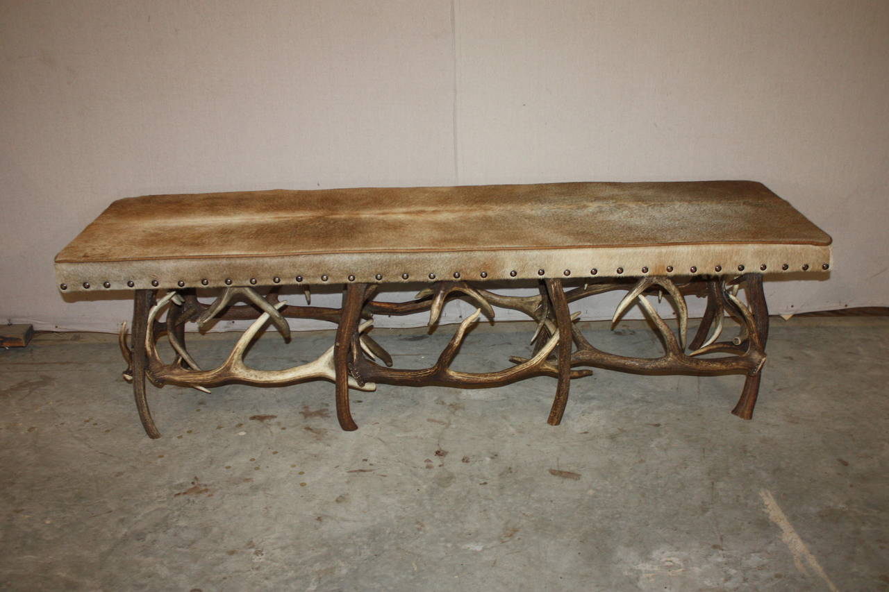 English Stag Horn and Hide Bench In Excellent Condition In Fairhope, AL