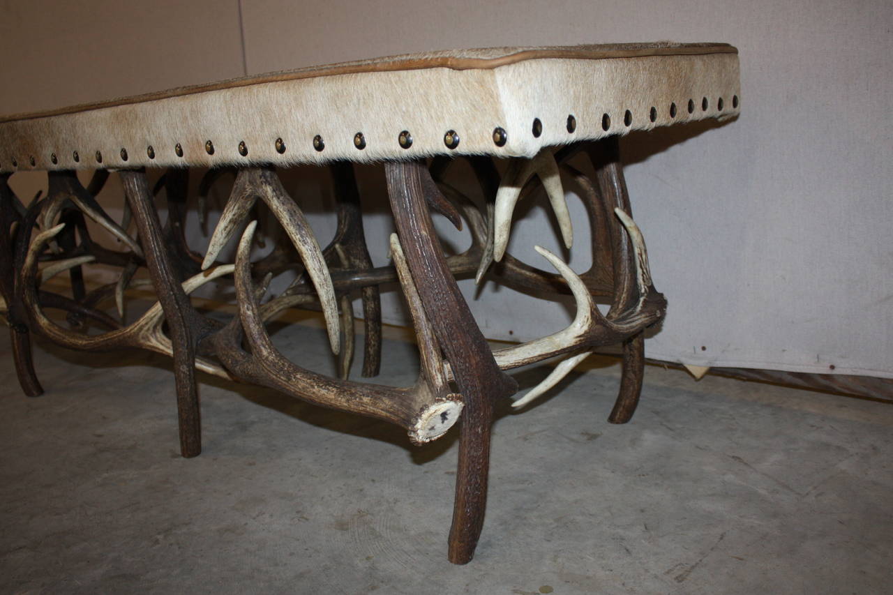 English Stag Horn and Hide Bench 1