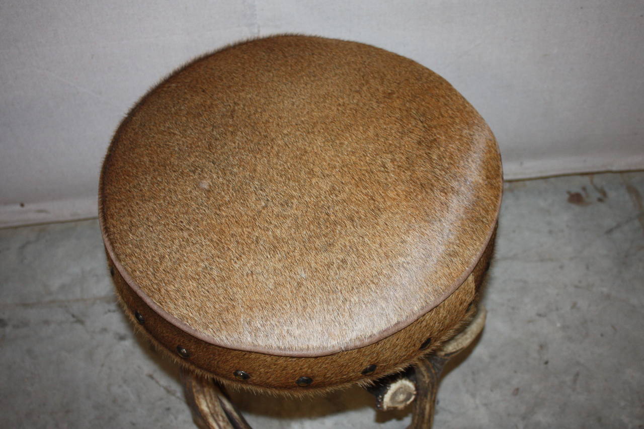 20th Century Stag Horn Based Stool with Hide Upholstery