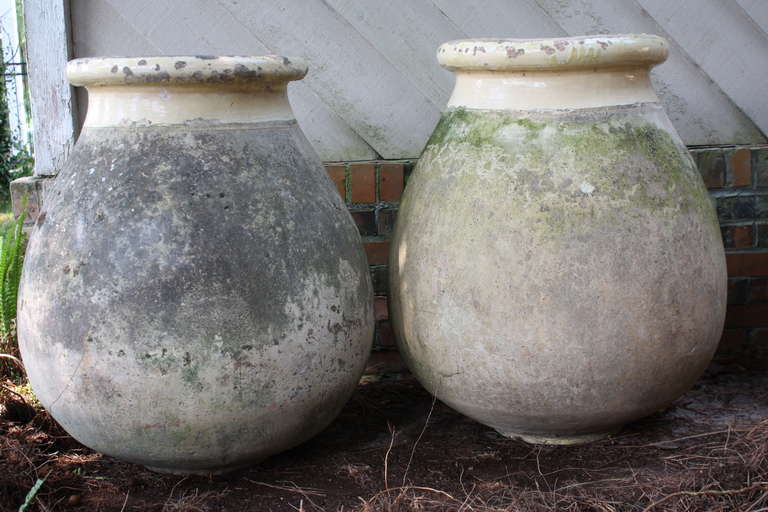 Pair Early 19th Century French Biot Olive Jars