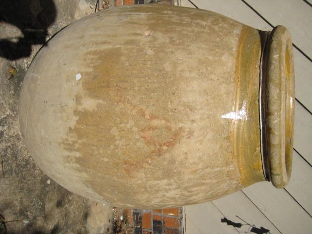 French Olive Jar