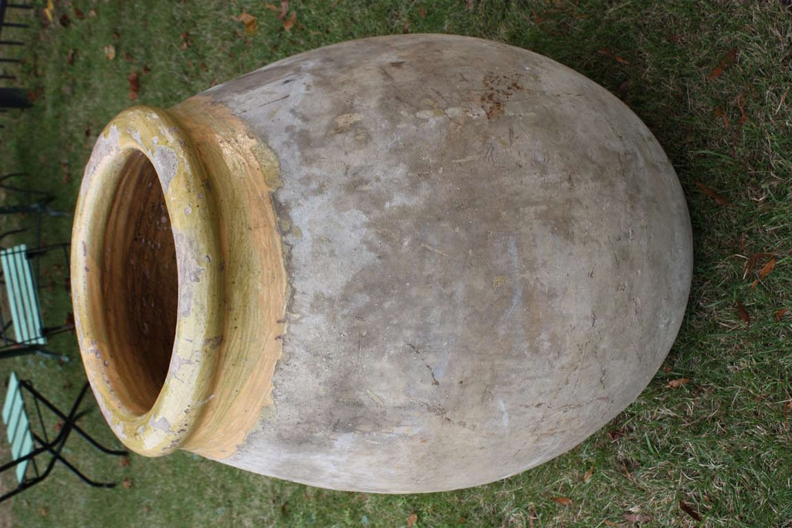 Late 18th Century French Olive Jar