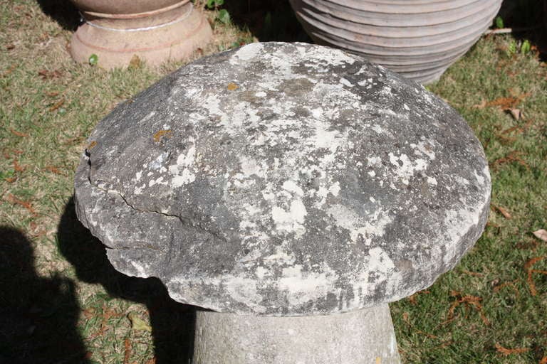 17th Century French Staddle Stones 1