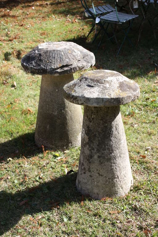 17th Century French Staddle Stones 3