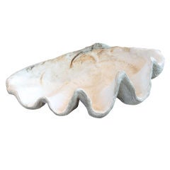 Well Modeled Large Decorative Conch Shell