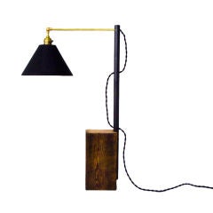 Fern Beam Desk Lamp