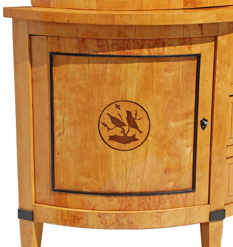 19th Century Biedermeier Display Cabinet
