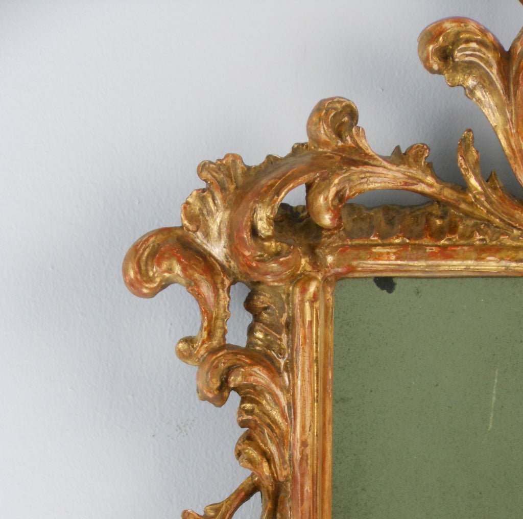 Rococo Pair of Giltwood Mirrors For Sale 2