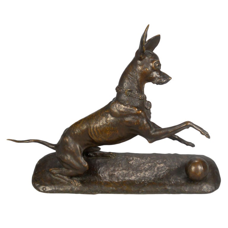 A French Patinated Bronze Sculpture of a Chihuahua