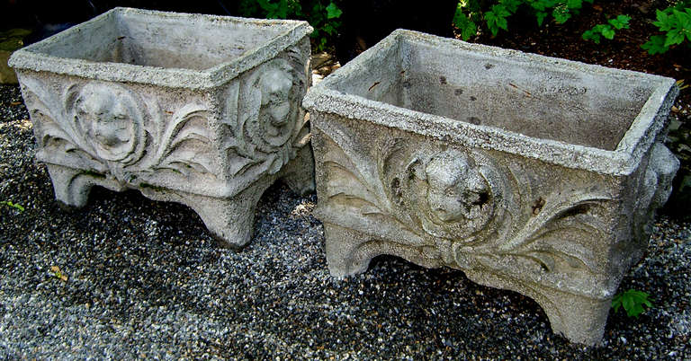 A pair of rectangular garden planters adorned with a cherub face surrounded by foliage on all sides. These composed stone planters are beautifully weathered and have natural moss and lichen.