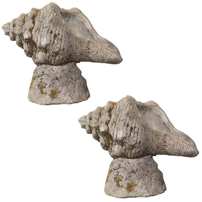 Pair of Shell Sculptures at 1stDibs